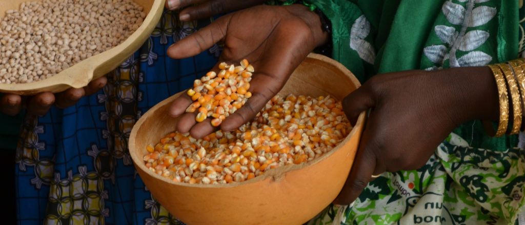 corn in bowl, farmer's hand
