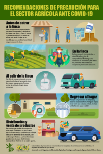 Infographic Boricua created on COVID-19 safety in the agricultural sector.
