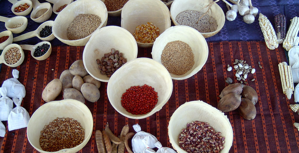 Seeds from Mali