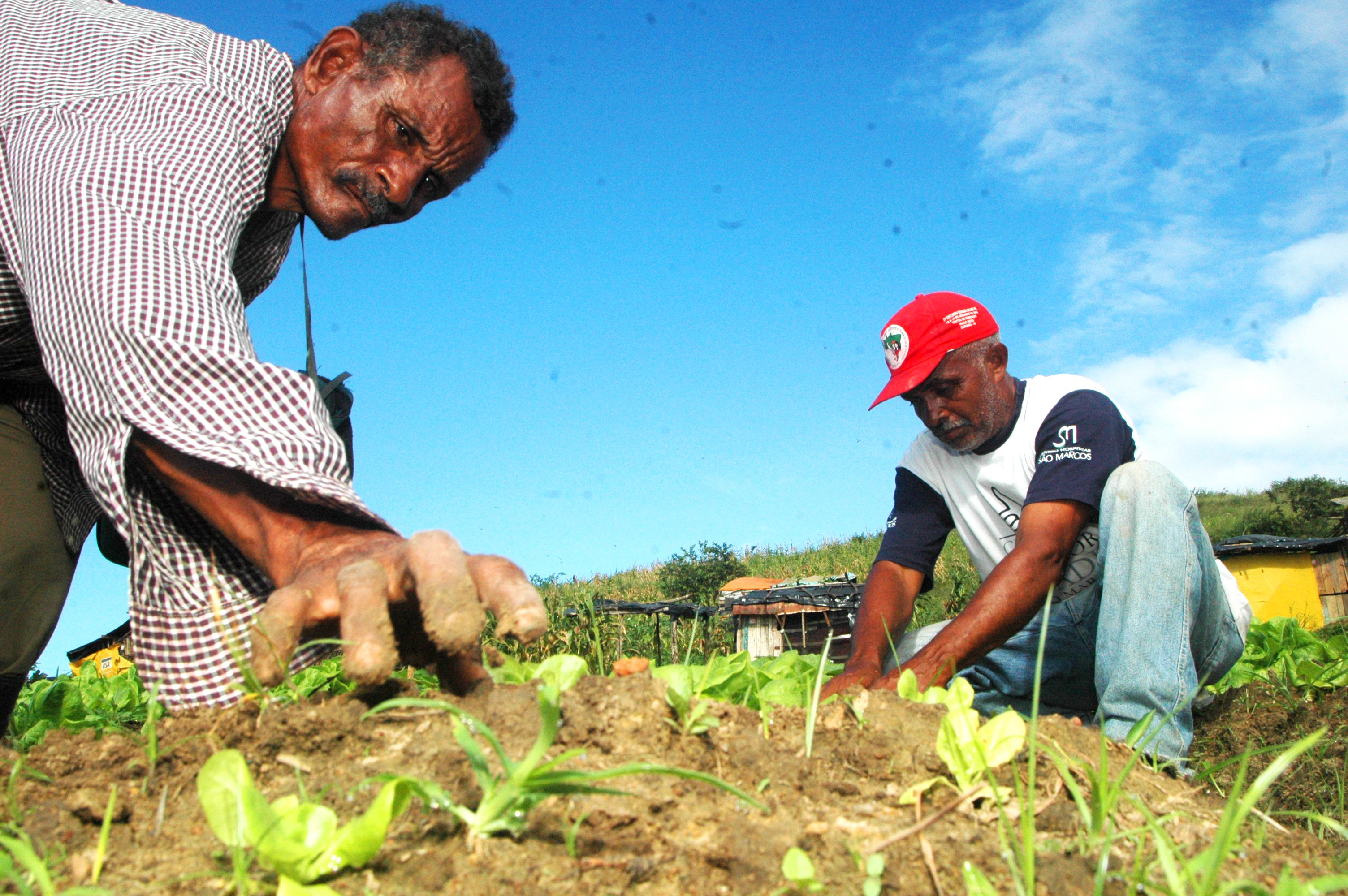 The Issues Grassroots International