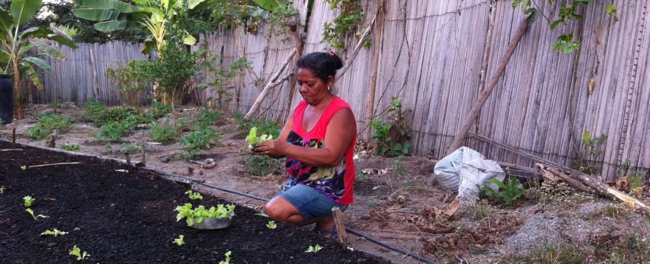 Woman from ASSEMA planting lettuce, Brazil.