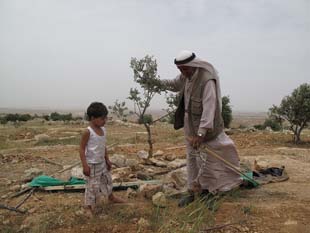 Child and adult planting a tree