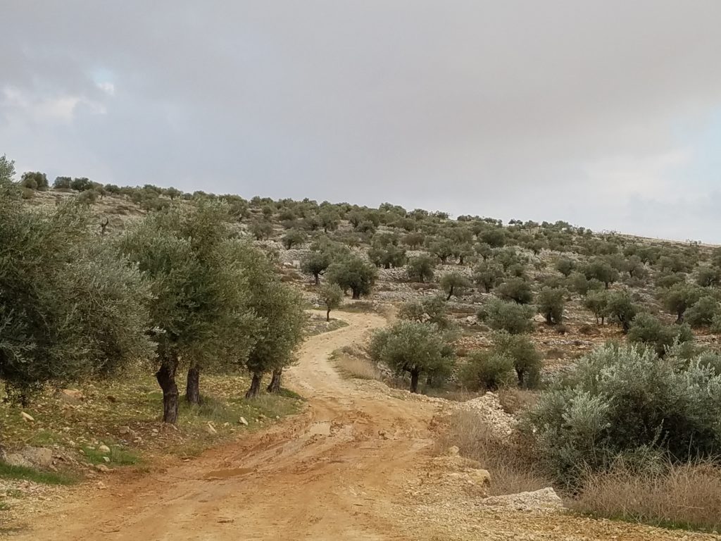 Climate Change and Economic Challenges in Palestine ...