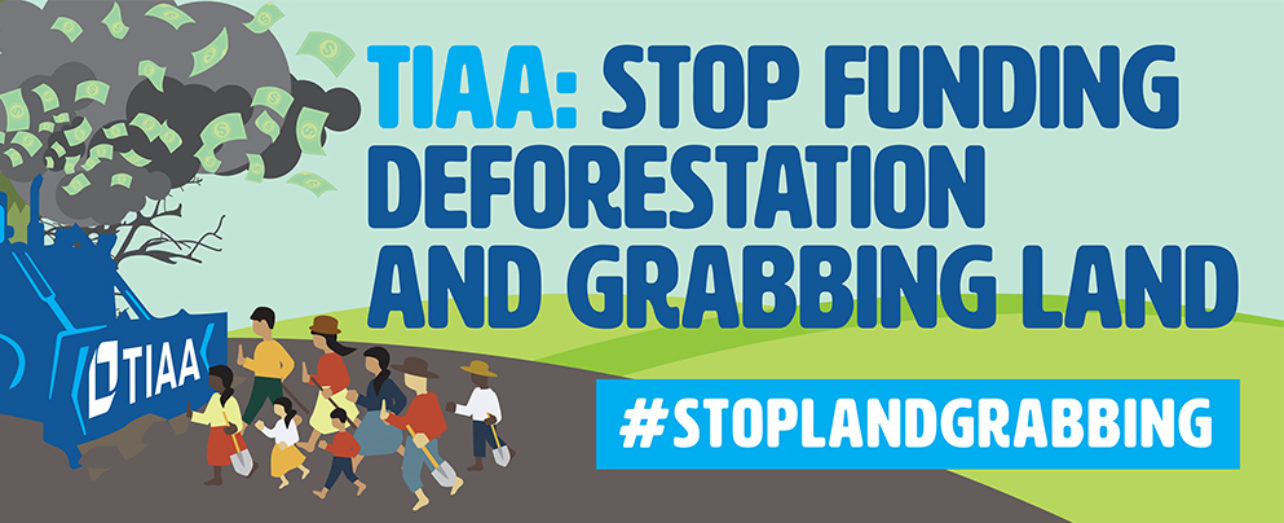TIAA Stop Land Grabs banner image