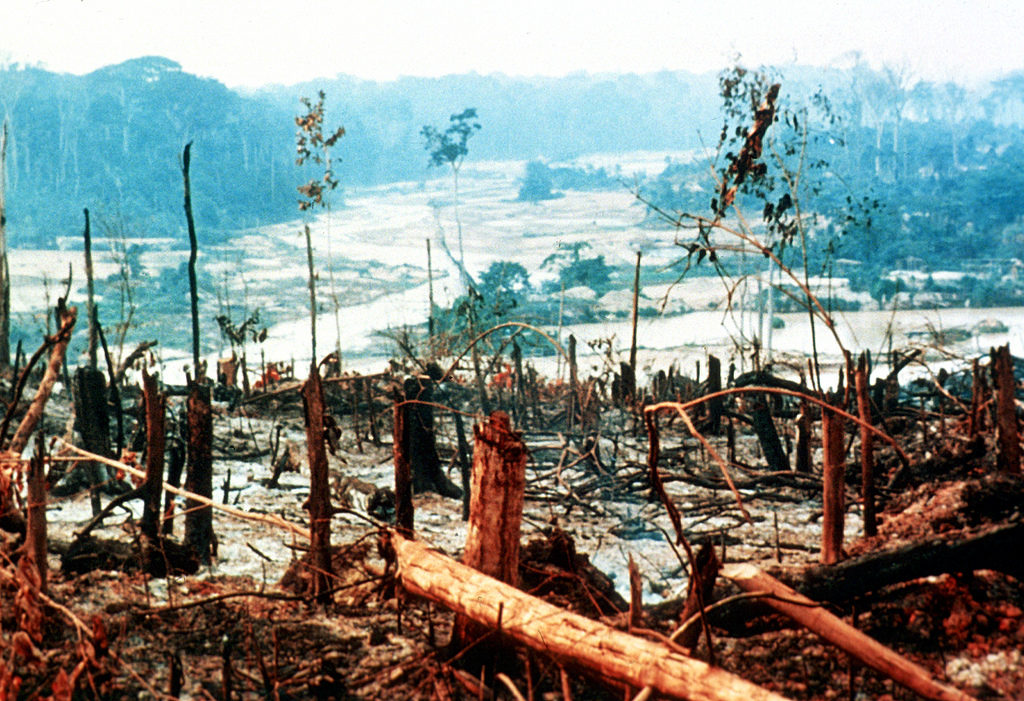Aggressive deforestation in the Amazon