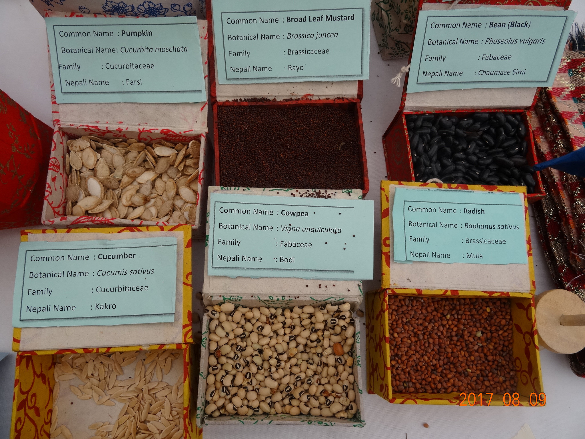 Nepali seeds.