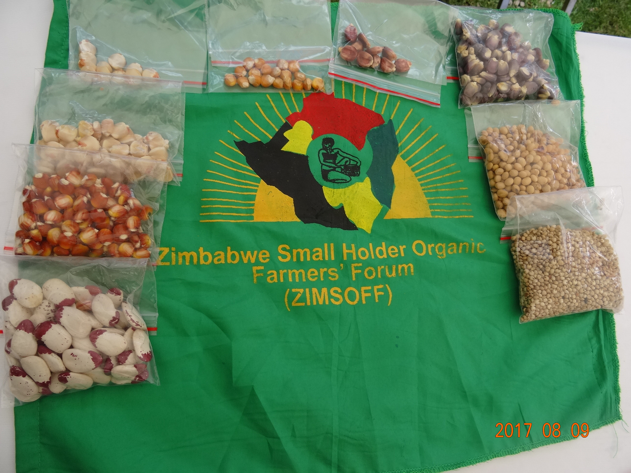 ZIMSOFF table at agroecology fair.