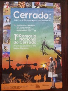 Rede Social report on the Cerrado.