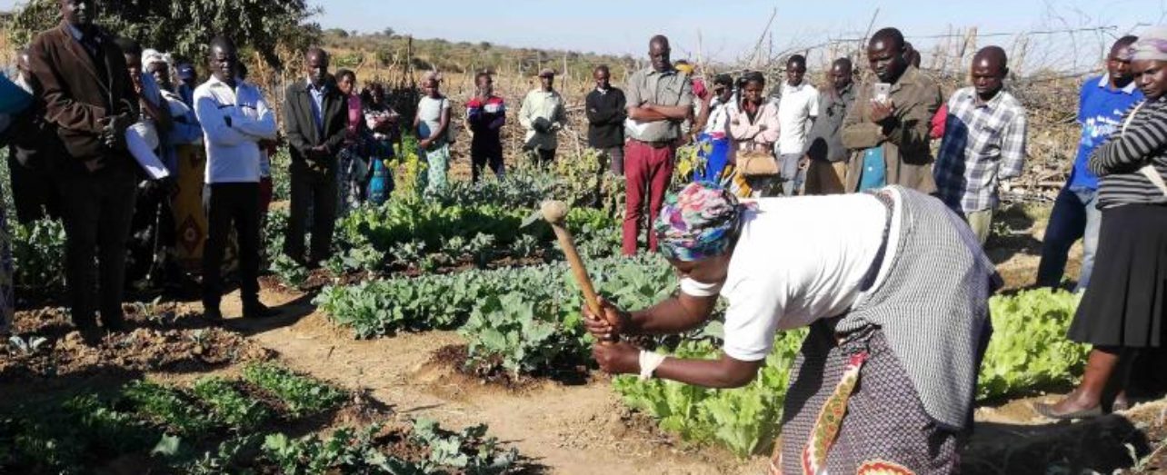 What Is Organic Farming? Training in Zambia
