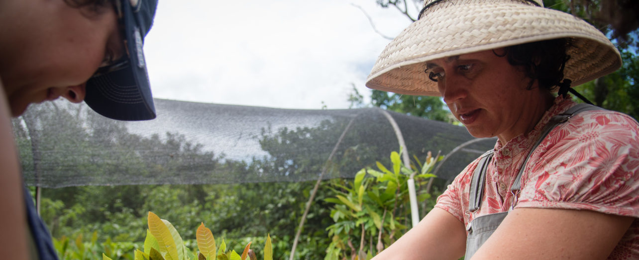 A Symbol Of Strength In Puerto Rico S Fields Grassroots International