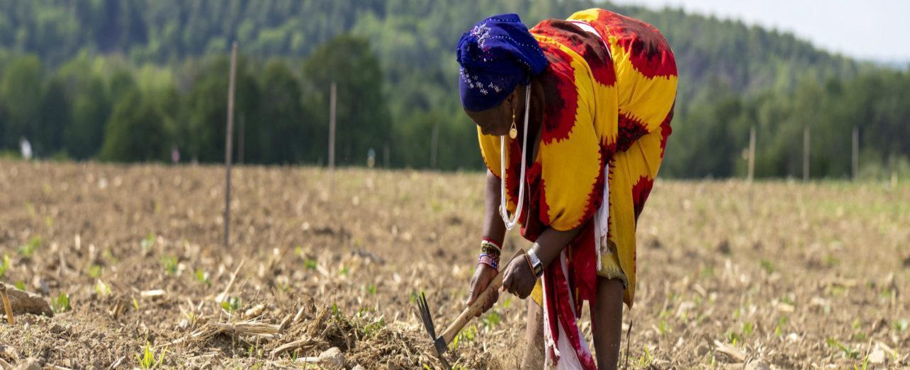 World Food Day: Saluting Food Sovereignty Prize Awardees