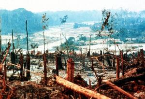 Aggressive deforestation in the Amazon