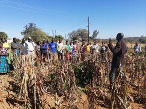What is Organic Farming? Training in Zambia